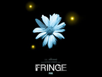 Fringe-fringe-2953354-1600-1200